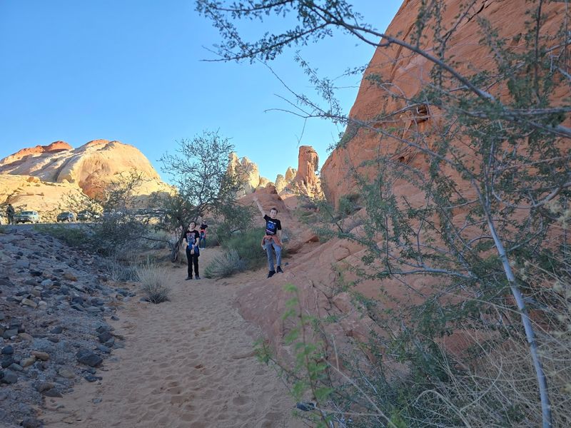 White Domes Loop (Valley of Fire State Park)