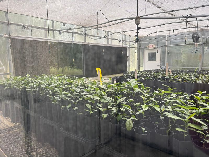 The Free Factory Tour, Decoded In Plain English