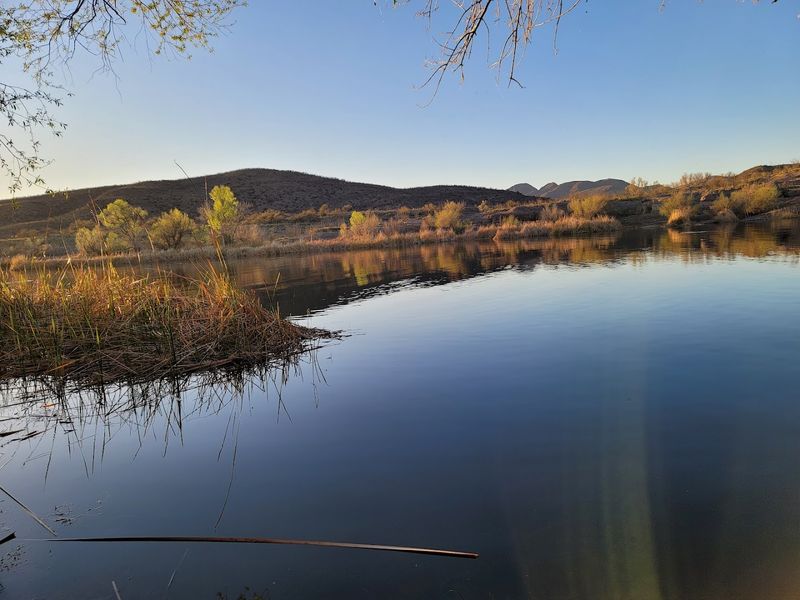 Birdwatching Along Lakeshore and Preserve