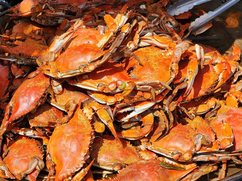 Festivals That Feel Neighborly