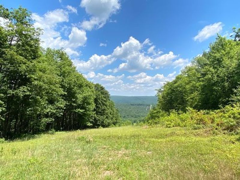 Scenic Vistas and Photography Spots