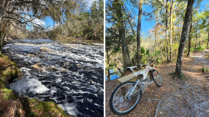 Florida Actually Has Its Own Whitewater Rapids and Most People Have No Idea They Exist