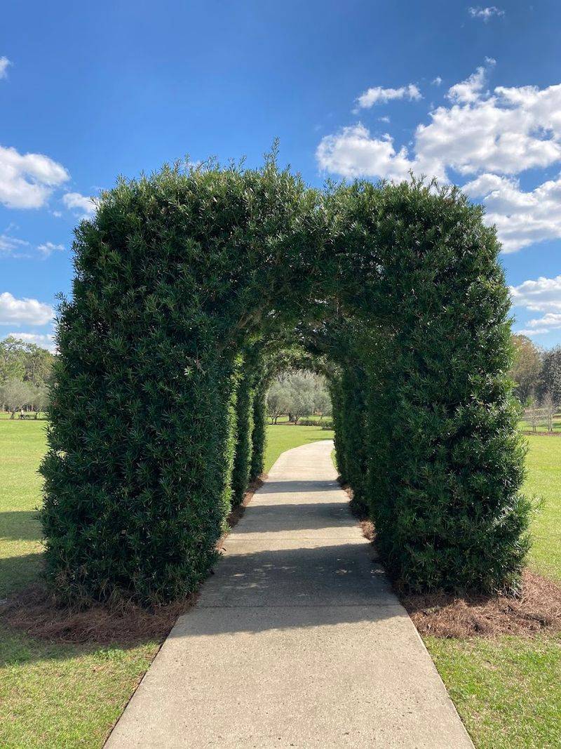 A Hidden Oasis of Peace in Florida