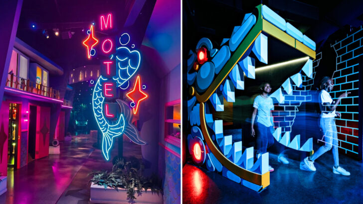 Florida Has An Immersive Art World Where Every Room Is Designed To Make You Forget The Outside Exists