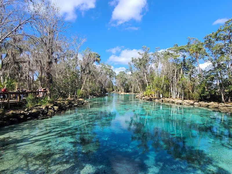 Crystal-Clear Spring Water That Looks Like Glass