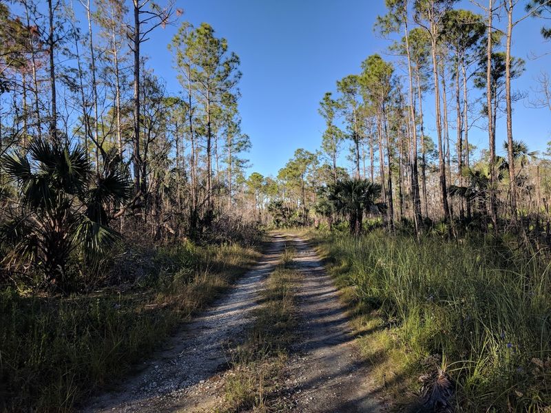 Florida National Scenic Trail