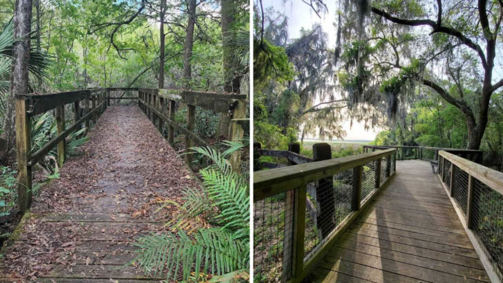Florida&rsquo;s 10 Longest Hiking Trails to Explore in 2026
