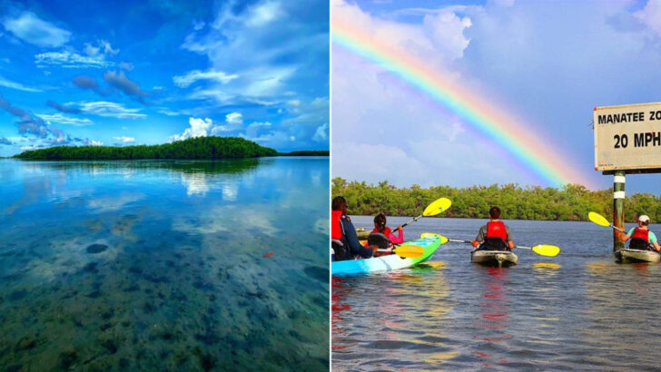 Florida&rsquo;s Largest Ten Thousand Islands Escape Is A Shelling Haven With Ancient History
