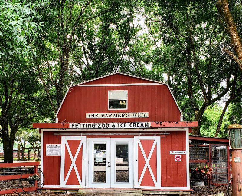 Tiny Town and Play Breaks