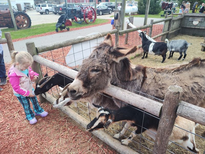 Family-Friendly Atmosphere