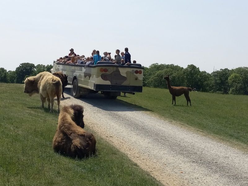 Getting Around: Accessibility, Shuttles, and Hills