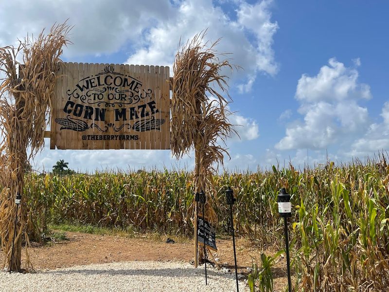 Photo Ops and Engagement Sessions