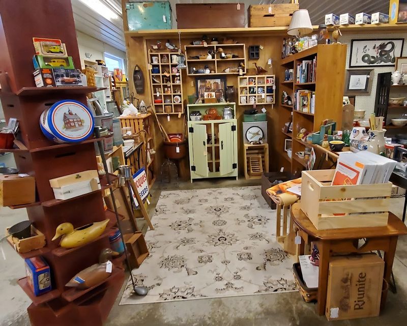 A Treasure Hunt for Unexpected Finds