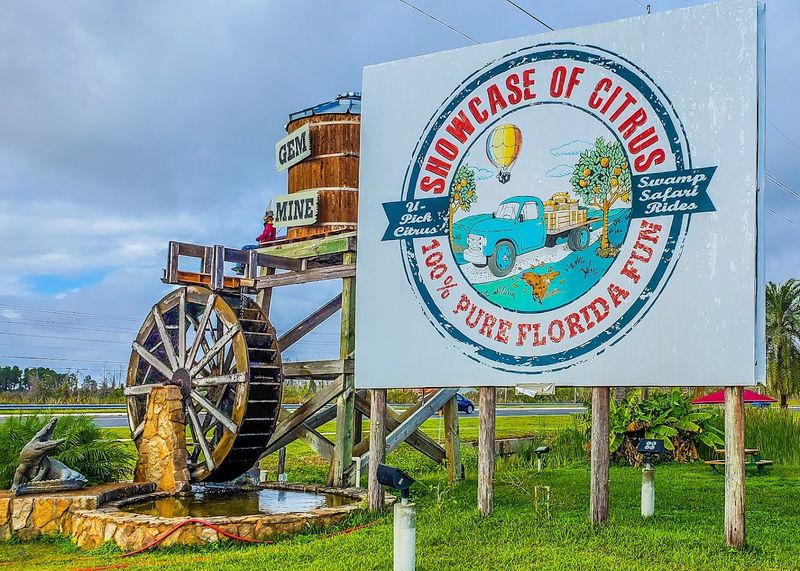 Kid Friendly Play Zones