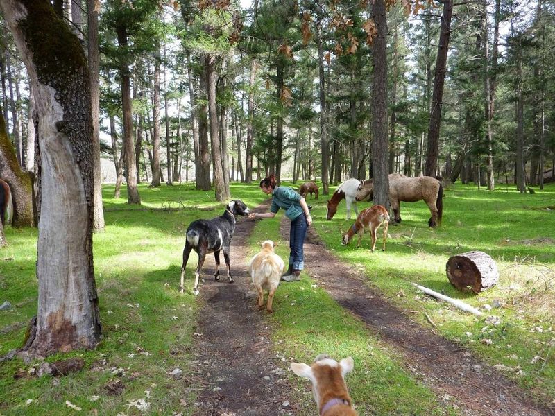 Sanctuary One (Jacksonville, Oregon)