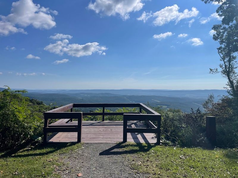 Observation Tower Experience