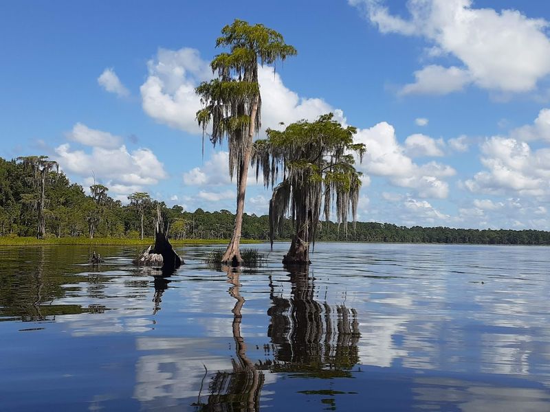 Seasons, Weather, And Water Levels