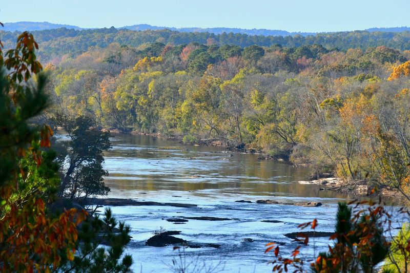 Breathtaking Cape Fear River Vistas from the Overlook