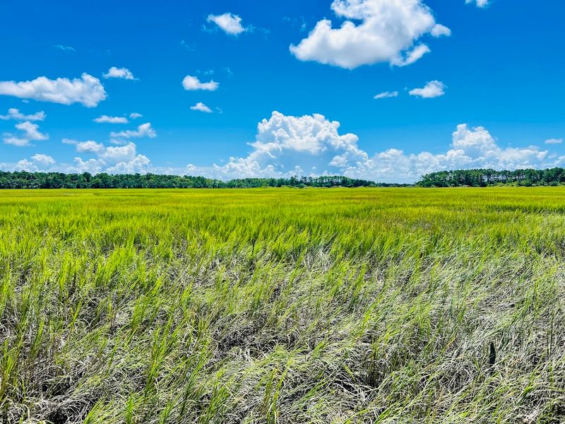 Wormsloe Historic Site, Savannah