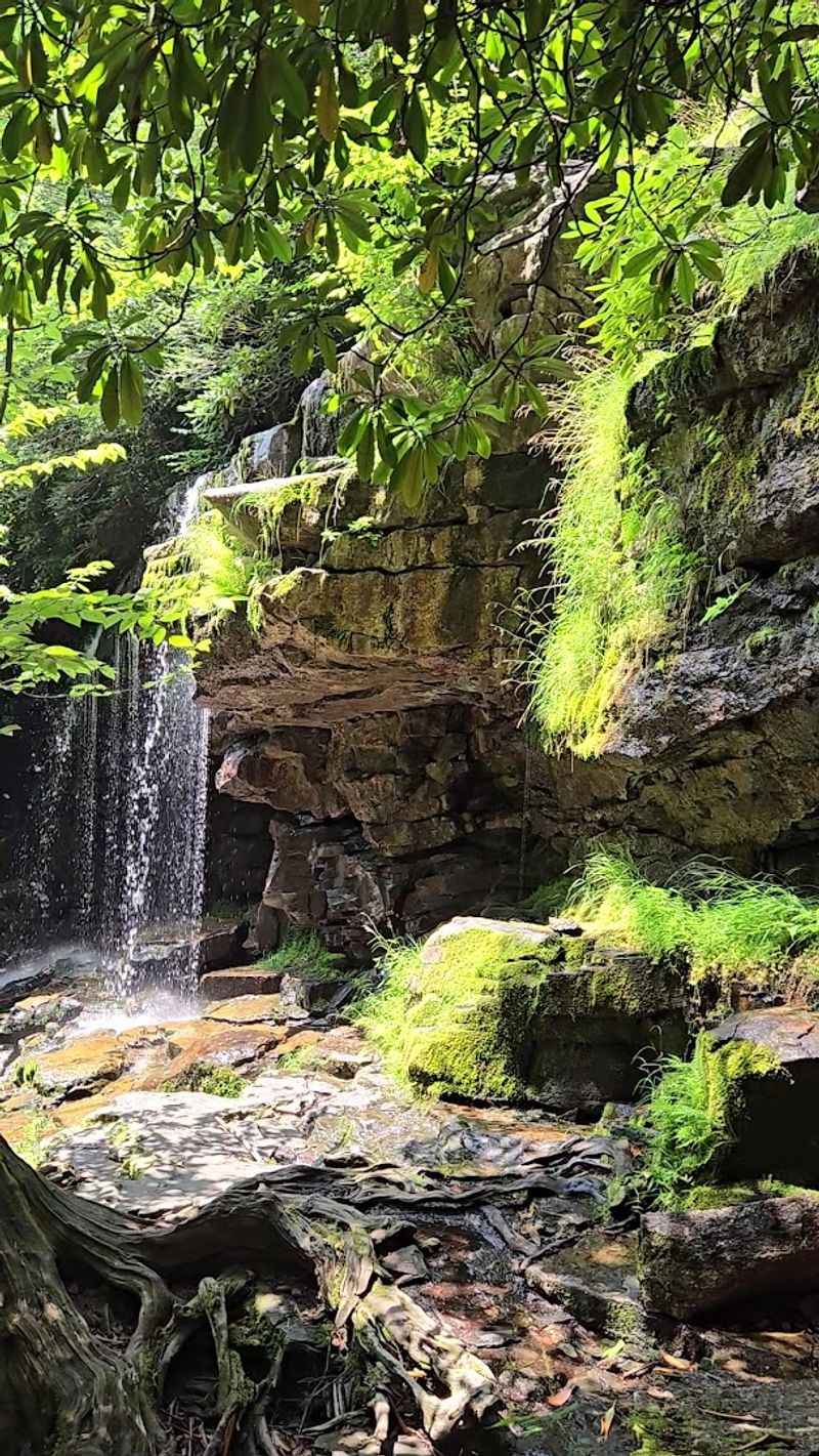 Cave Falls - Glen Onoko Run, near Jim Thorpe, Carbon County