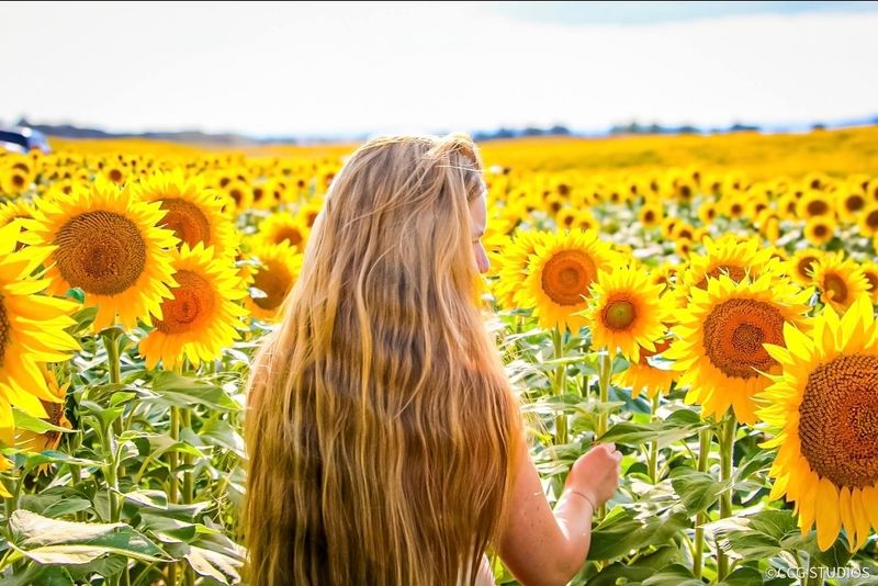The Best Time to Visit for Peak Blooms