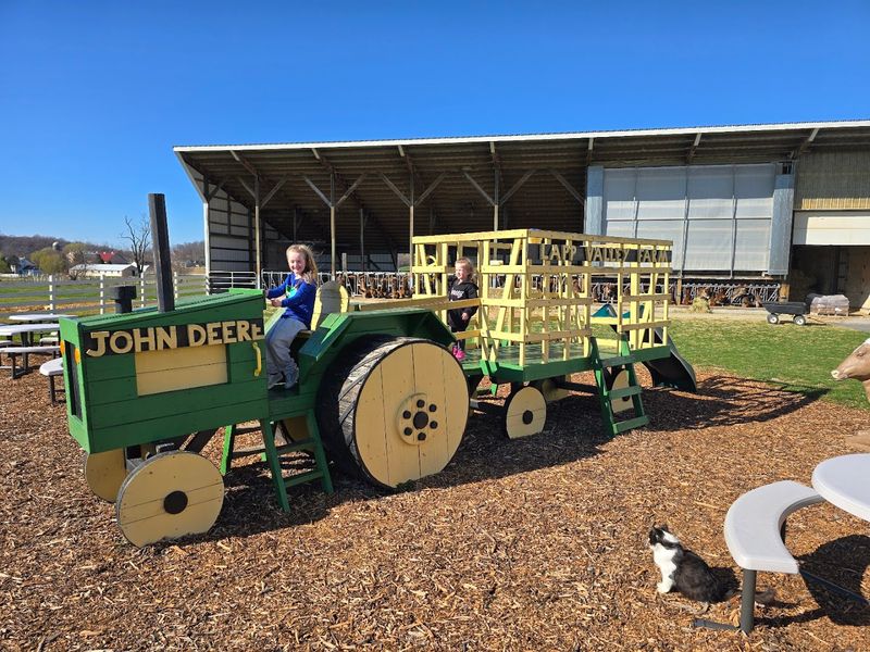 Farm Atmosphere and Outdoor Spaces for Families