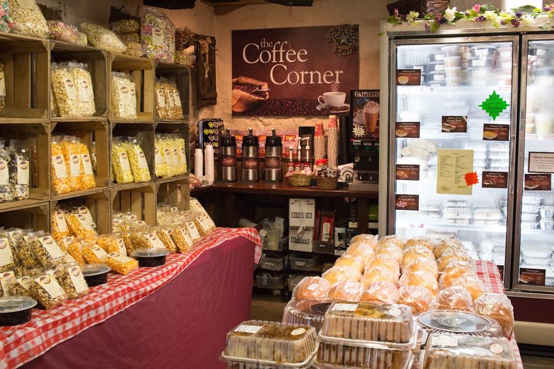 Visitor Info and Tips for Your Trip