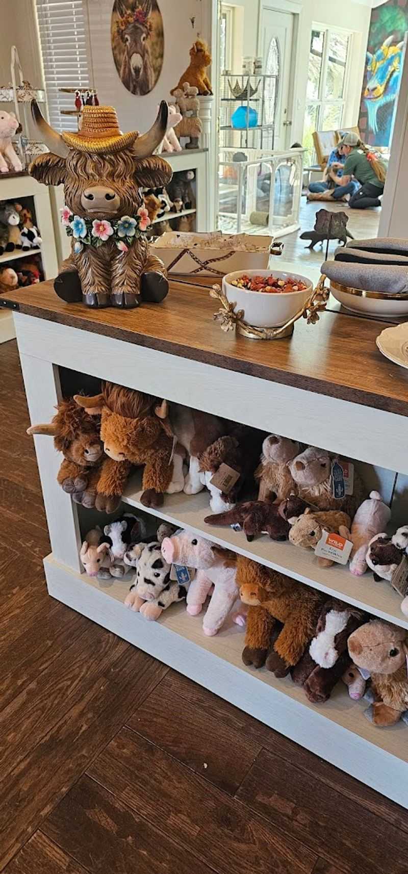 The Gift Shop and How Your Money Supports the Animals