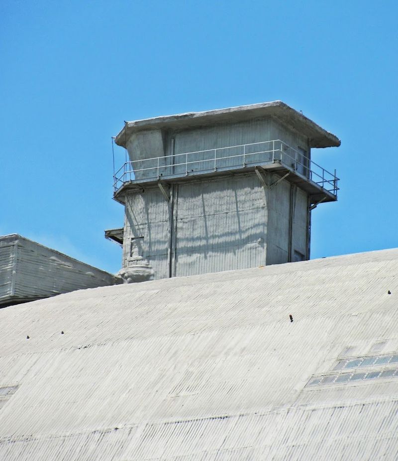 One of the Last of Its Kind