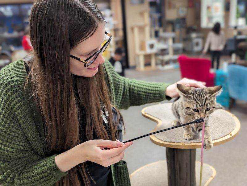 Why Even Non-Adopters Absolutely Love This Place