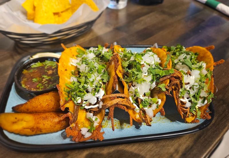 Essential Visitor Information for Alien Taco & Tequila Bar