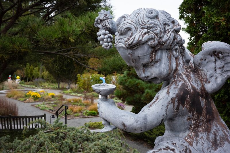 Essential Visitor Tips Before You Go