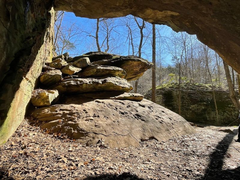 Ferne Clyffe State Park - Big Rocky Hollow Trail (Johnson County)