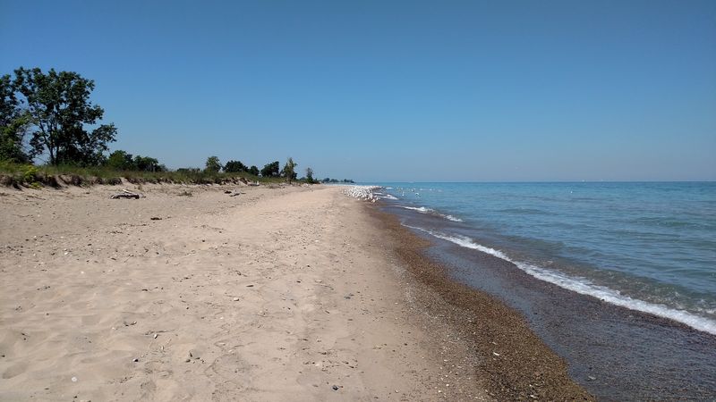 Illinois Beach State Park