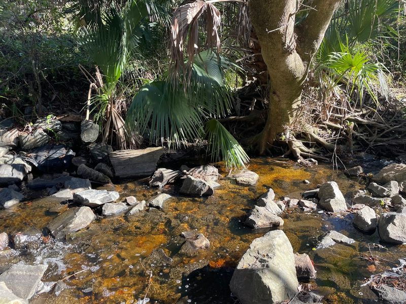 Where to Pause: Overlooks and Quiet Spots