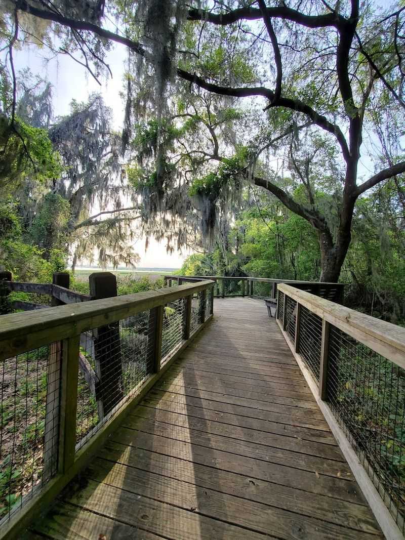 Gainesville-Hawthorne State Trail