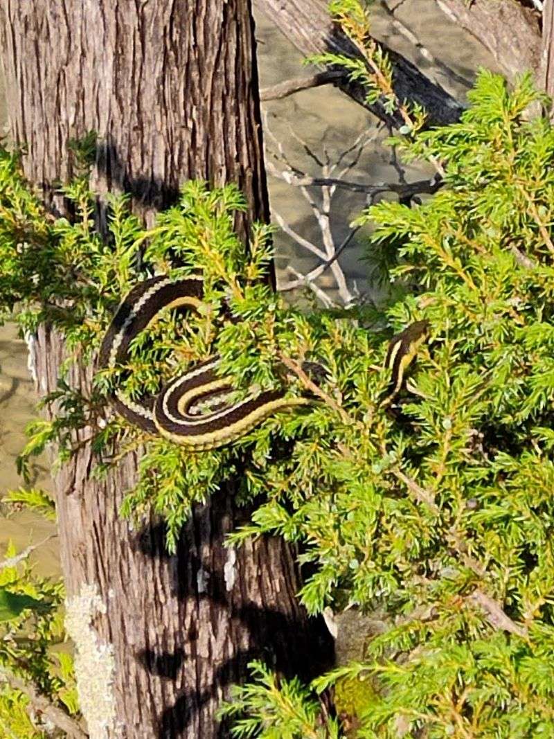 Wildlife and Nature Encounters Along the Way