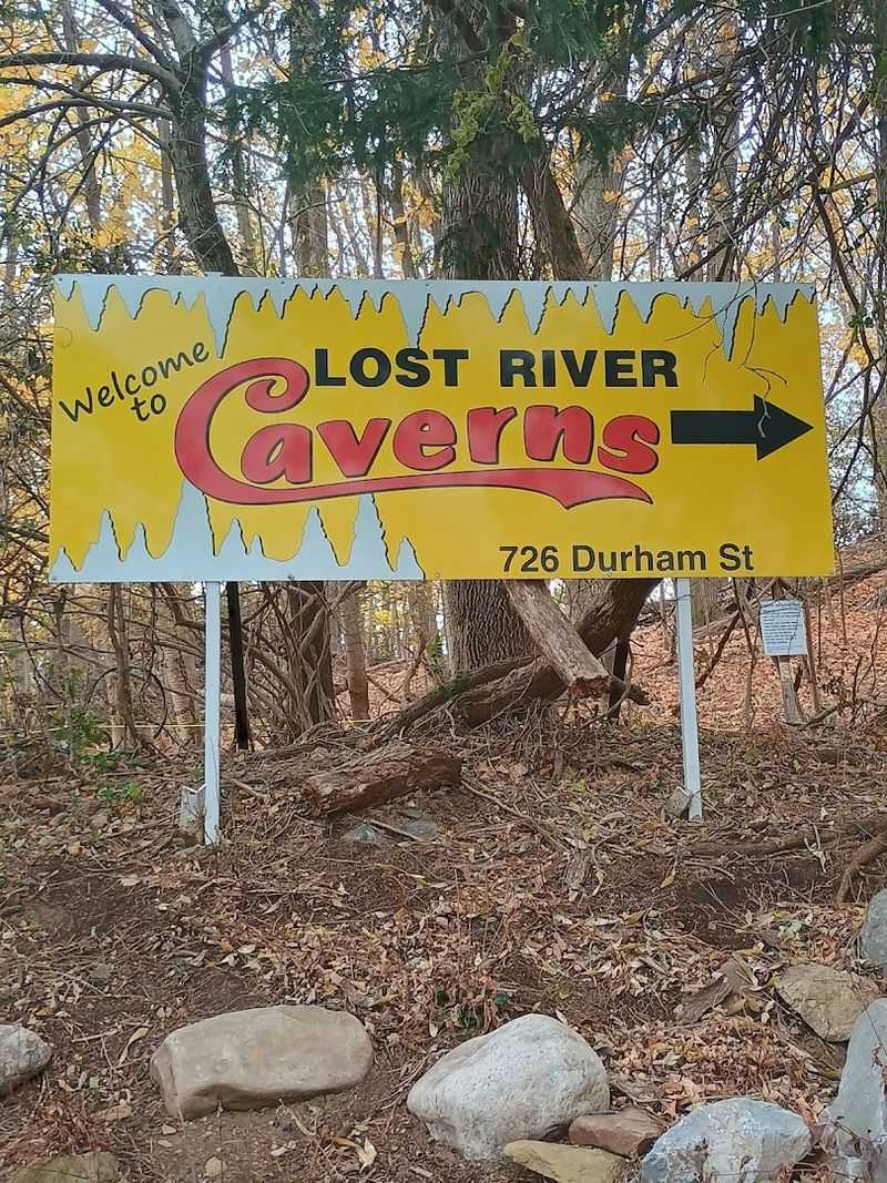 Navigating The Guided Tour With Kids