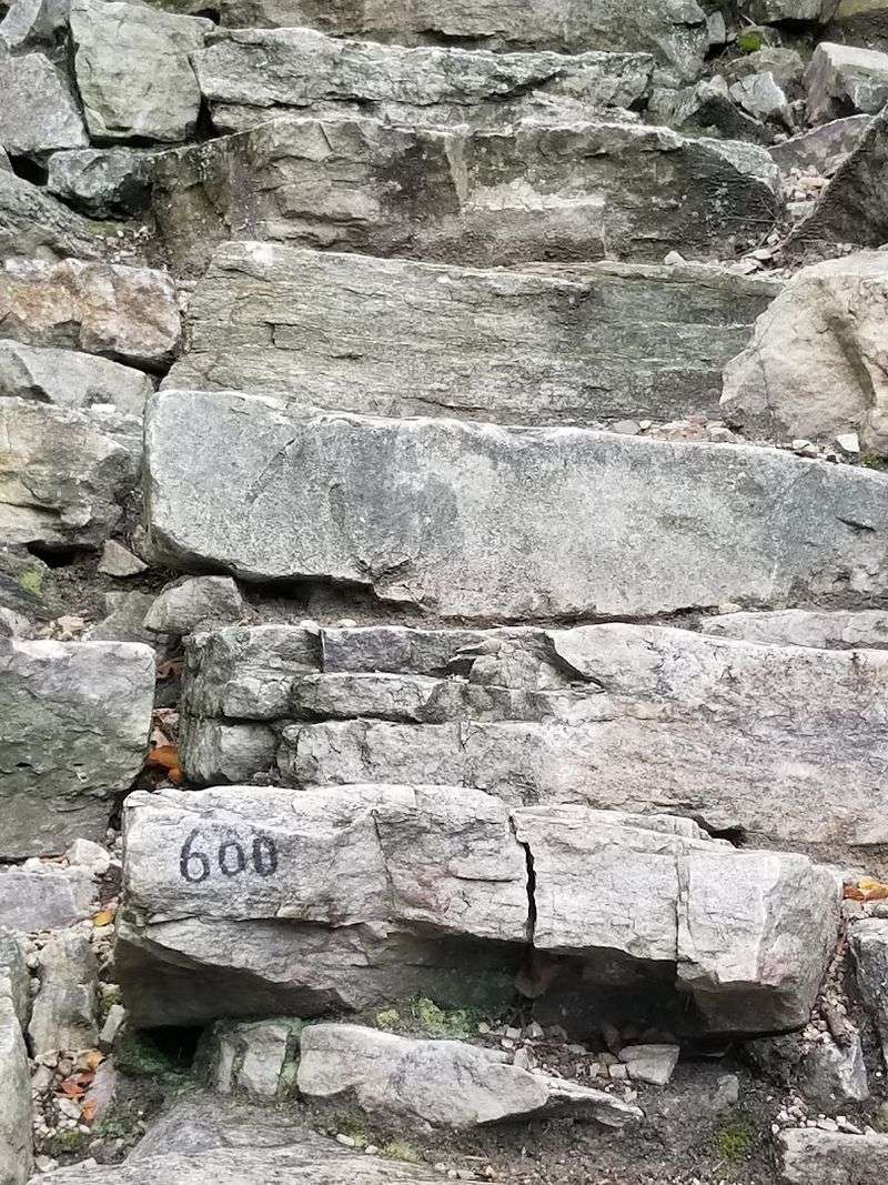 Fitness Benchmark And Training