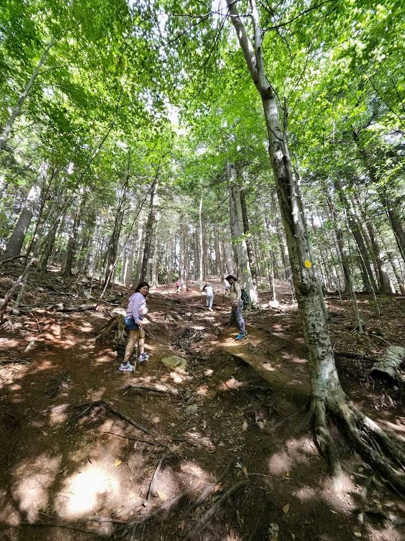 Extra Activities Beyond the Waterfalls