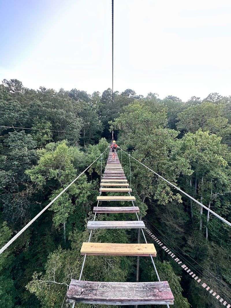 An Aerial Obstacle Course Hidden in the Georgia Forest