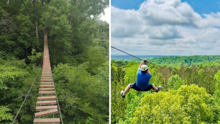 Georgia Has a Treetop Obstacle Course Suspended 60 Feet Above the Forest Floor