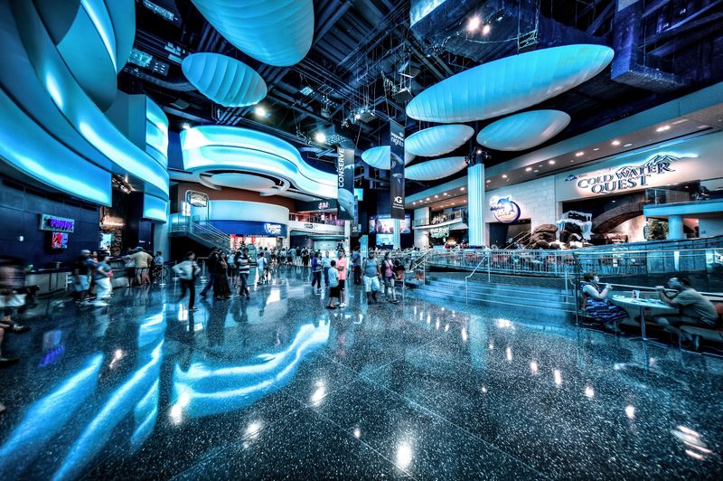 A Record-Breaking Attraction in the Heart of Atlanta