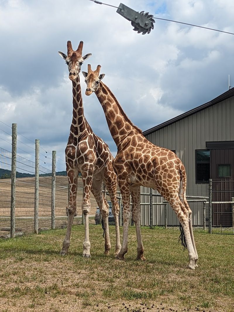 Staff, Stories, and Learning Moments