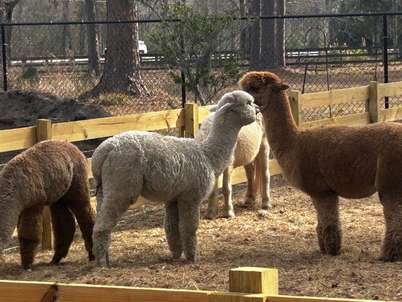 The Incredible Variety of Animals You Will Meet