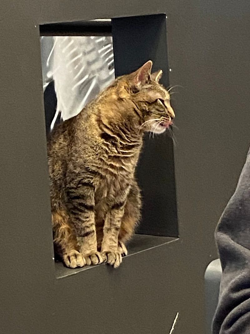 Budget And Value Breakdown