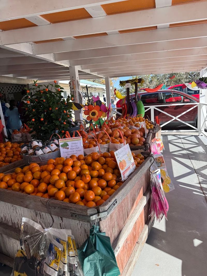 Best Season And Hours