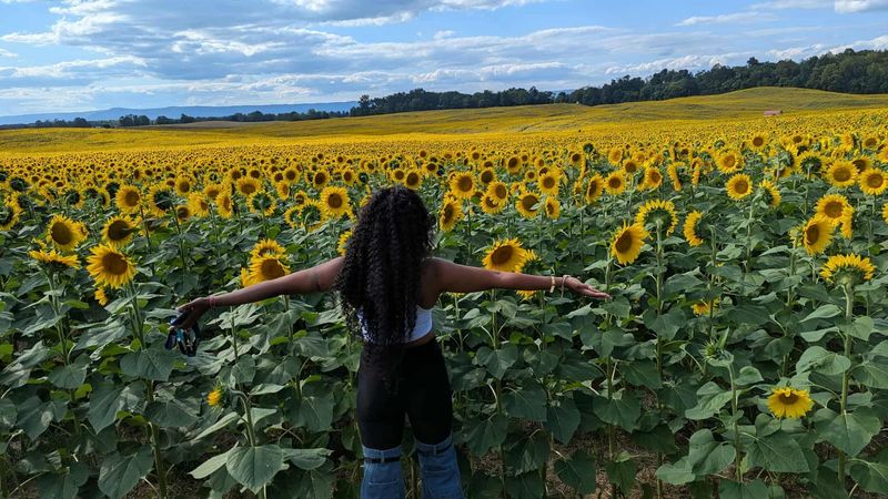 Photography Heaven: Tips for Getting Stunning Shots