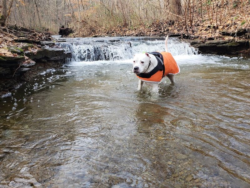 The Creek Crossings That Keep It Interesting