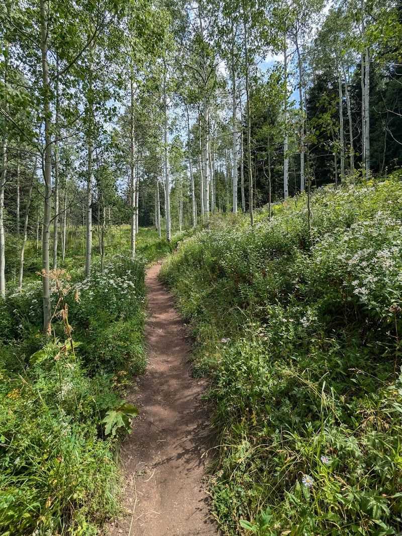 Trail Overview: What to Expect From Start to Finish